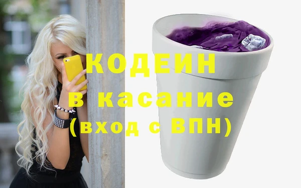 индика Балахна